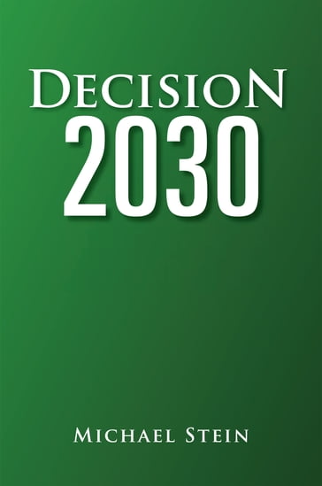 Decision 2030 - Michael Stein