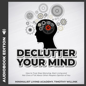 Declutter Your Mind - Timothy Willink