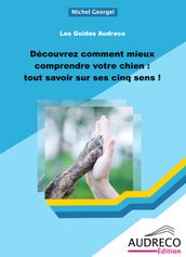 Découvrez comment mieux comprendre votre chien : tout savoir sur ses cinq sens !