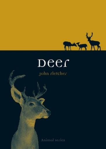 Deer - John Fletcher