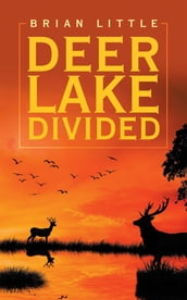 Deer Lake Divided
