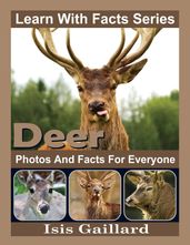 Deer Photos and Facts for Everyone