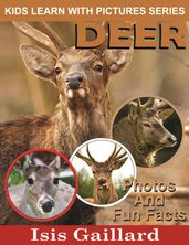 Deer Photos and Fun Facts for Kids