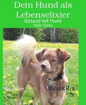 Dein Hund als Lebenselixier