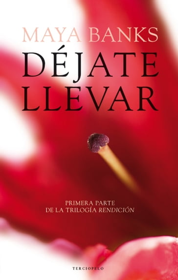 Déjate llevar - Jonas Hassen Khemiri