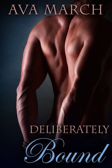 Deliberately Bound (Bound Series Book 3-1/2) - Ava March