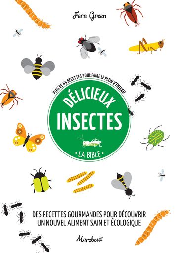 Délicieux insectes - Fern Green