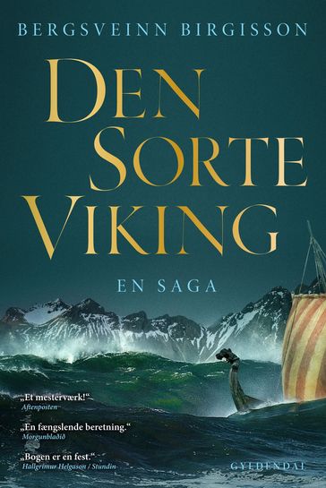 Den sorte viking - Bergsveinn Birgisson