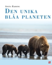 Den unika blaa planeten