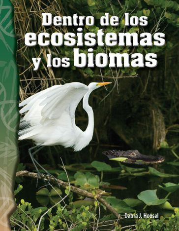 Dentro de los ecosistemas y los biomas - Debra J. Housel