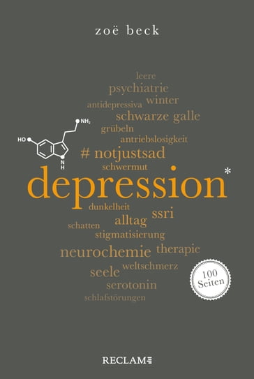 Depression. 100 Seiten - Zoe Beck