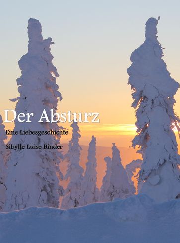Der Absturz - Sibylle Luise Binder