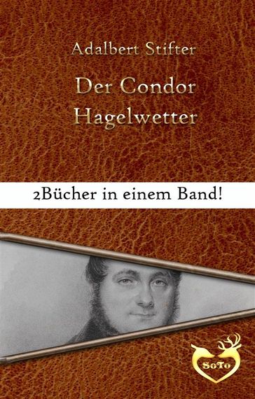 Der Condor / Hagelwetter - Adalbert Stifter