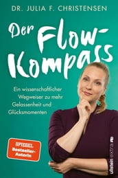 Der Flow-Kompass