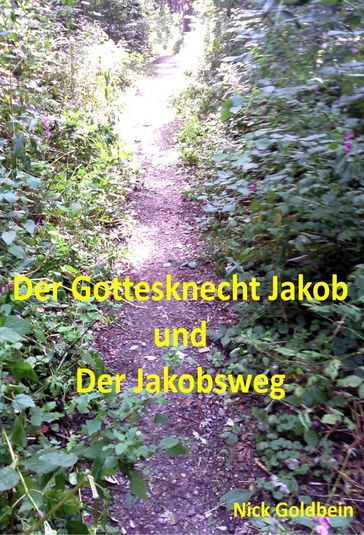 Der Jakobsknecht und der Jakobsweg - Nick Goldbein