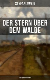 Der Stern über dem Walde: Eine Liebesgeschichte