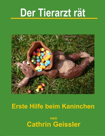 Der Tierarzt rät - Erste Hilfe beim Kaninchen - Cathrin Geissler