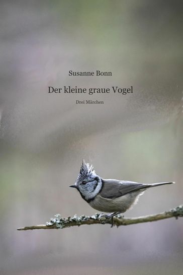 Der kleine graue Vogel - Susanne Bonn