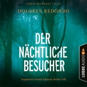 Der nächtliche Besucher - Inspectora Amaia Salazars dritter Fall - Die Baztán-Trilogie, Teil 3 (Ungekürzt)