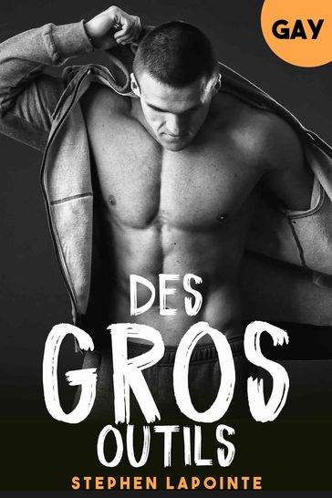 Des Gros Outils - Tome 3 - Stephen Lapointe