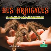 Des araignées effrayantes mais intéressantes (Creepy But Cool Spiders)