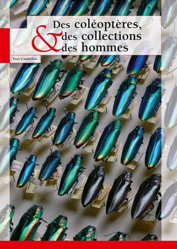 Des coléoptères, des collections et des hommes - Yves Cambefort