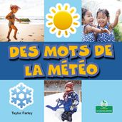 Des mots de la météo (Weather Words)