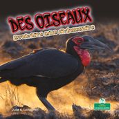 Des oiseaux effrayants mais intéressants (Creepy But Cool Birds)