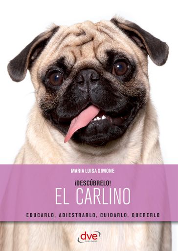 ¡Descúbrelo! El Carlino - Maria Luisa Simone