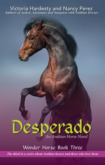 Desperado - Victoria Hardesty - Nancy Perez