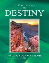 Destiny: Finding Your Way Home