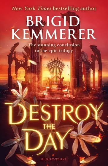 Destroy the Day - Brigid Kemmerer