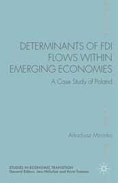 Determinants of FDI Flows within Emerging Economies