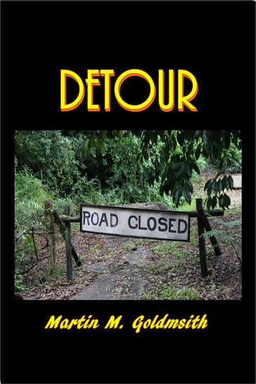 Detour - Martin M. Goldsmith