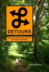 Detours: When Life Throws you a Curve, Just Follow the Road