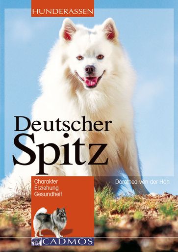 Deutscher Spitz - Dorothea von der Hoh