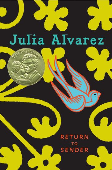 Devolver al Remitente (Return to Sender Spanish Edition) - Julia Alvarez