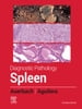 Diagnostic Pathology: Spleen - E-Book