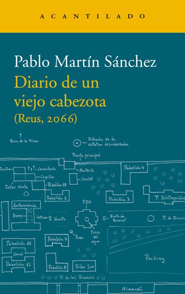 Diario de un viejo cabezota - Pablo Martín Sánchez