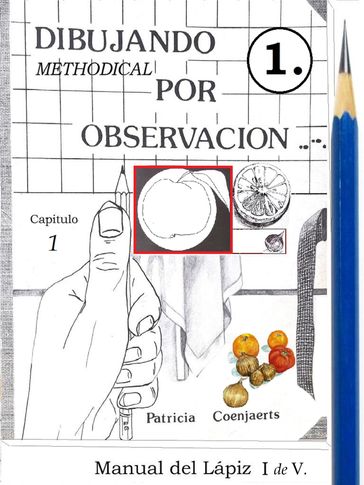 Dibujando por Observacion con Patricia Coenjaerts - Patricia Coenjaerts