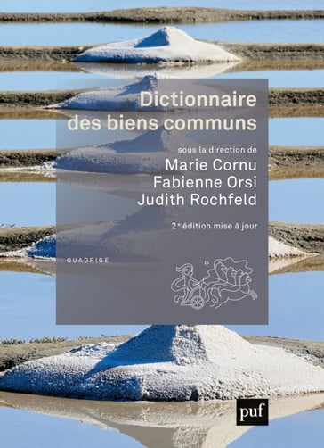Dictionnaire des biens communs - Judith ROCHFELD - Marie Cornu - Fabienne Orsi