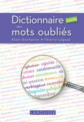 Dictionnaire insolite des mots oubliés