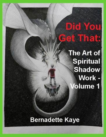 Did You Get That: The Art of Spiritual Shadow Work - Volume 1 - Bernadette Kaye