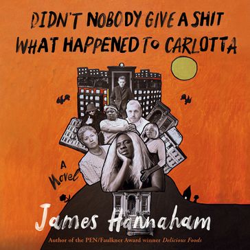 Didn't Nobody Give a Shit What Happened to Carlotta - James Hannaham