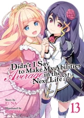 Didn t I Say To Make My Abilities Average In The Next Life?! Light Novel Vol. 13