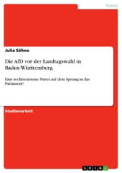 Die AfD vor der Landtagswahl in Baden-Württemberg