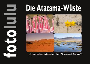 Die Atacama-Wüste - Sr. fotolulu