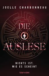 Die Auslese - Nichts ist, wie es scheint