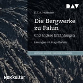 Die Bergwerke zu Falun und andere Erzählungen (Gekürzt)