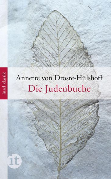 Die Judenbuche - Annette von Droste-Hulshoff - August von Haxthausen - Christian Begemann